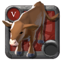 Expert's Ox Calf