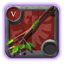 Expert's Nature Staff