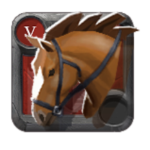Expert's Riding Horse