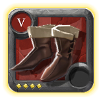 Expert's Assassin Shoes