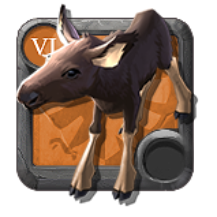Moose Calf